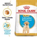 ROYAL CANIN XIRA TROFI SKuLOu LABRADOR JUNIOR 3KG